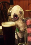 Enjoying a final pint