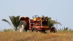 Old tractor