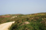 The road winds on into the distance