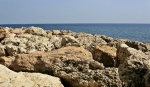 The sea