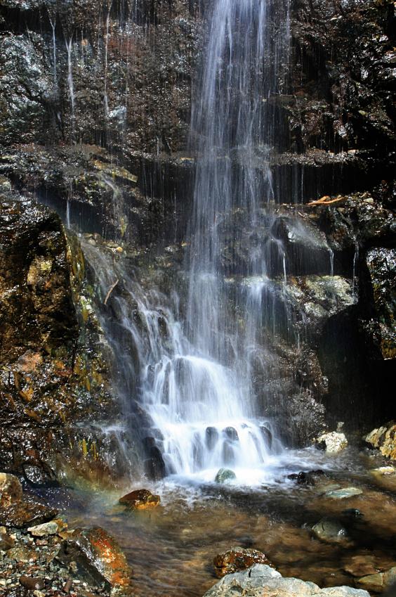 20080407-090724.jpg - The foot of the falls