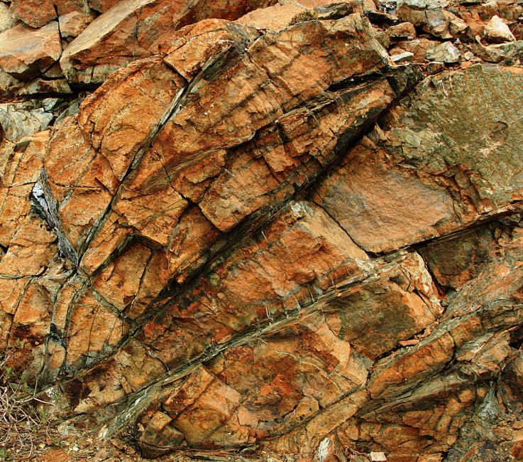 20080409-112746.jpg - Dunite rock typically of the Atalanti Trail