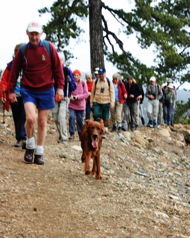20080410-140002.jpg - We borrowed the hotel dog to lead the way!