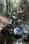 The Kaledonia river