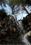 Looking up at the falling water