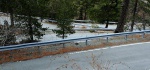 Another view of the hairpins