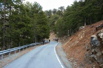Walking on the old road