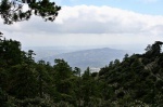 More pines, and a hazy view