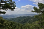 Tuesday was also in the Troodos pine woods