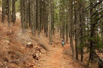 Walking through woods