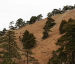 Crossing scree slopes