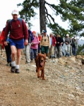 We borrowed the hotel dog to lead the way!