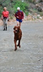 Vicky leads ahead of John's GPS