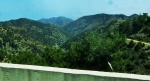 View from the bus