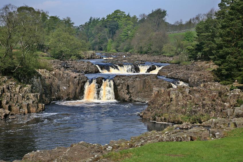 20080511-114924.jpg - Low Force