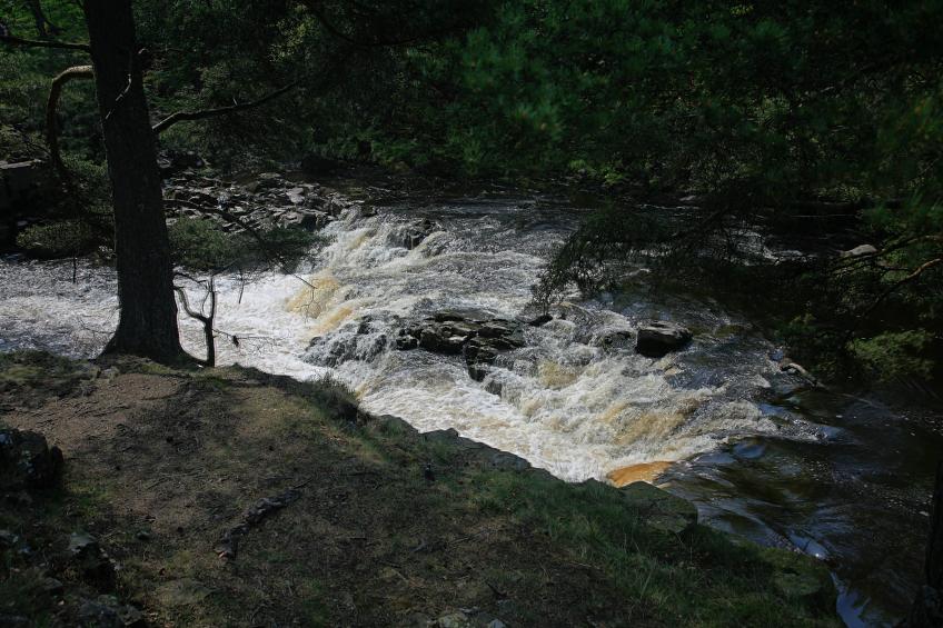 20080511-115050b.jpg - Cascade