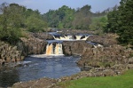 Low Force