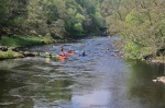 Kayakers in the Tees