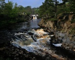 Low Force