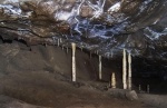 Columns