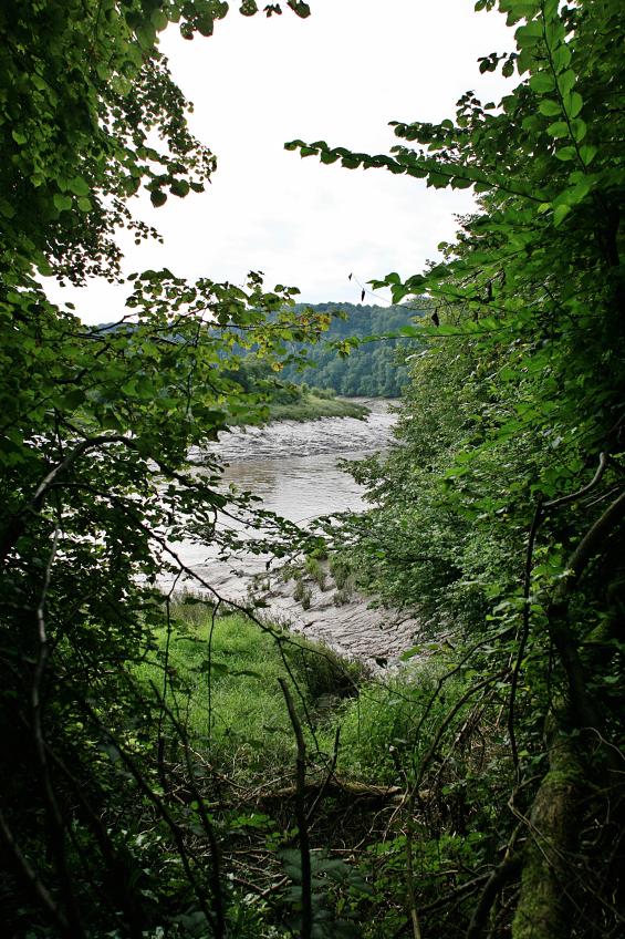 20080823-091440.jpg - The Wye