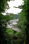 The Wye