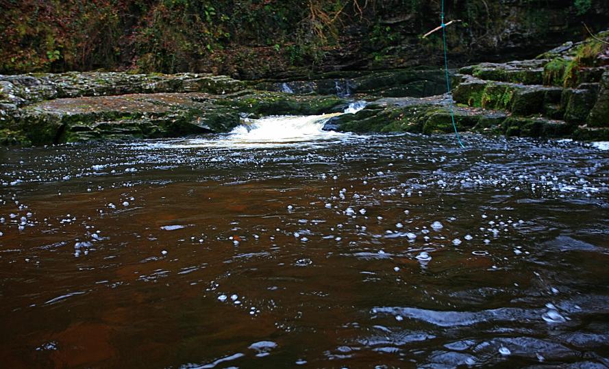 20081116-104006.jpg - Pool