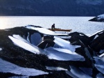Djuke by a frozen Sgeir Chreagach