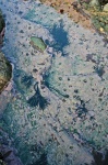 Rock pool