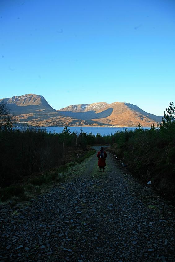 20090201-153722.jpg - View from Achintraid forest to the Applecross hills