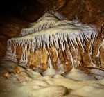 Formations in Moss Chamber