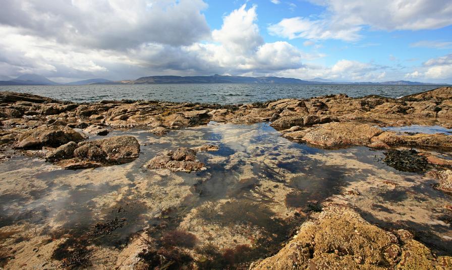 20090408-133209.jpg - Rock pool - Dun Caan behind