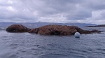 A tiny skerry in Caolas Mor