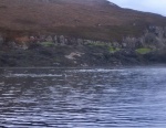 Two seals