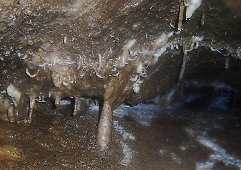 20090412-133156.jpg - Helictites
