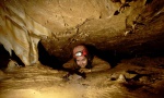 Bela crawling through the "Pearly Gates"