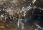 Helictites