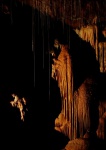 Long straws in Long Straw Chamber
