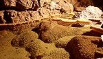 Crystal pool