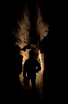 Frank in silhouette