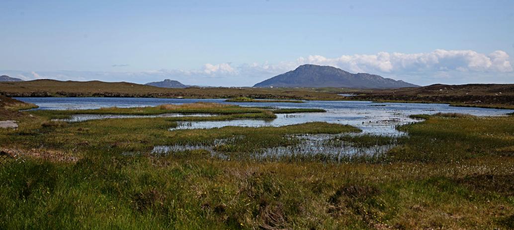 20090608-142242.jpg - Mountain and moorland