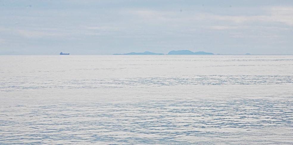20090613-145554.jpg - Shiant Isles