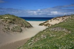Sandy beach