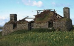 Ruined black-house
