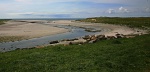 River mouth