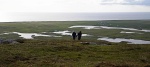 Facing west - a land of machair and lochans