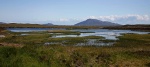 Mountain and moorland