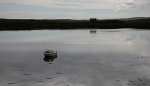 Reflections