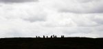 Silhouettes