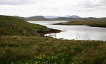 Sea-loch and irises